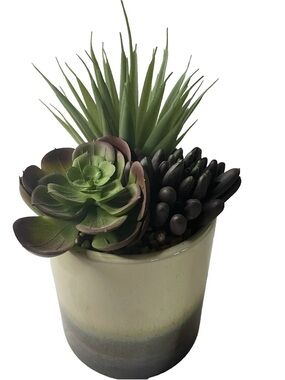 Mainstays 7.4" Mixed Artificial Succulent Arrangement in Ceramic Planter
